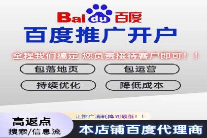 某科技公司的信息流广告投放策略与效果评估